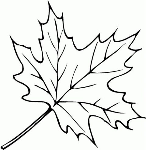  dibujos de hojas secas
