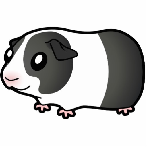 Guinea Pig Black And White Cartoon - Gallery