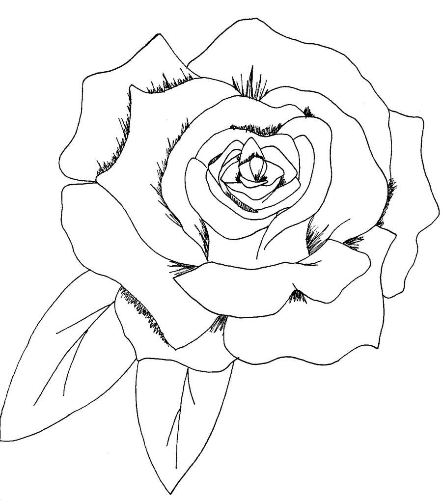 manga rose drawing - Clip Art Library
