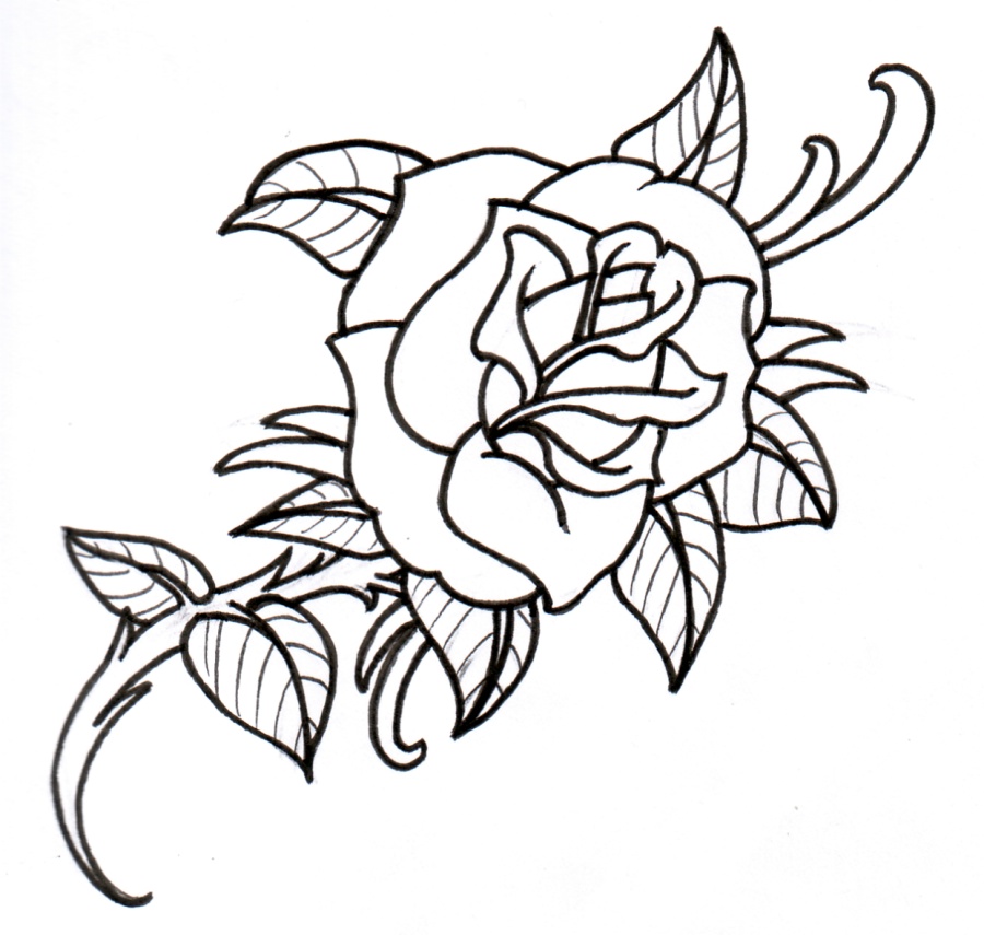Rose Outline Drawings - Clipart library