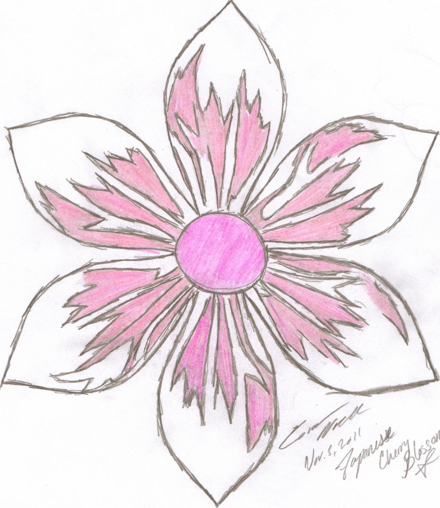 Japanese Flower Drawing  Design Bundles