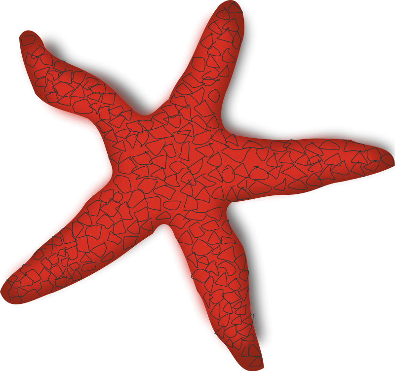 Vibrant red starfish with textured mosaic pattern and gray-tinted edges on black background.