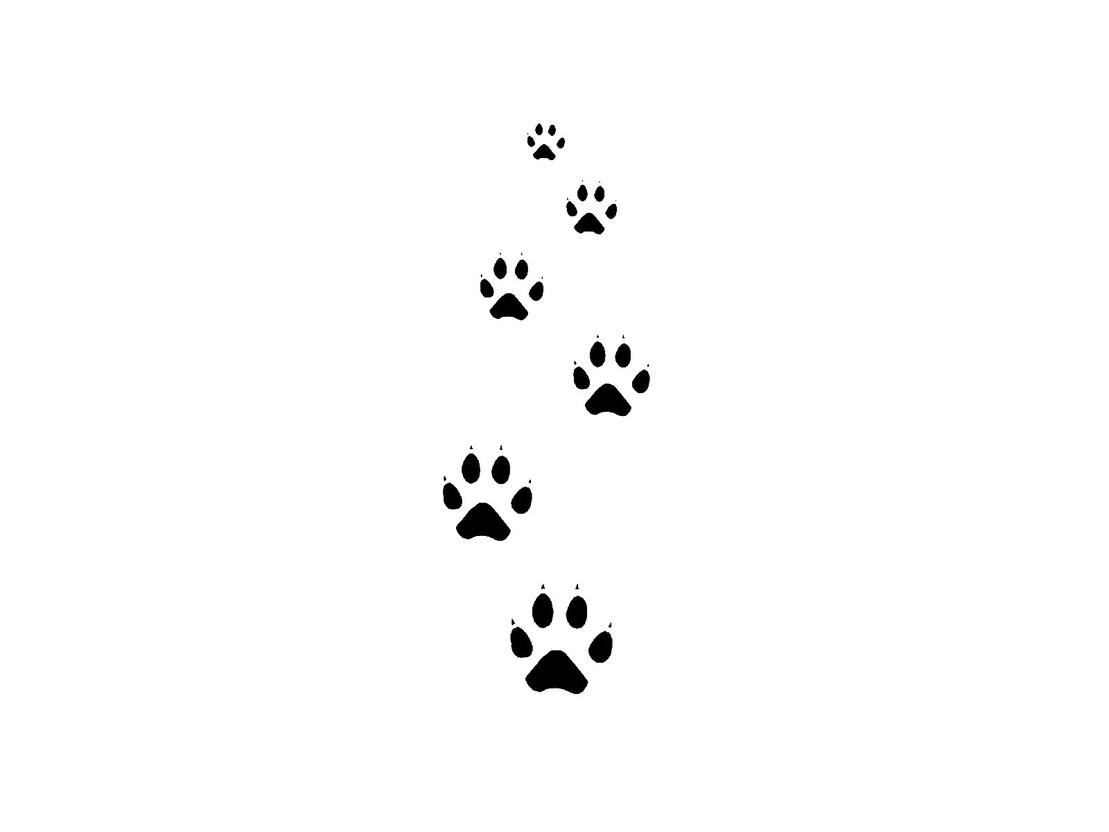 20 top Small Paw Tattoo ideas in 2024