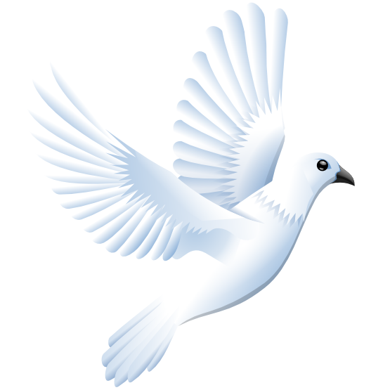 Free Dove Png Transparent Background, Download Free Dove Png Transparent  Background png images, Free ClipArts on Clipart Library