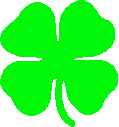 Bright green four-leaf clover symbolizing luck and St. Patrick’s Day on a white background.