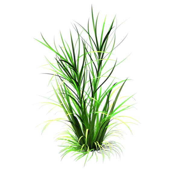 Cartoon Grass Texture - Free Downloadable Images and Textures