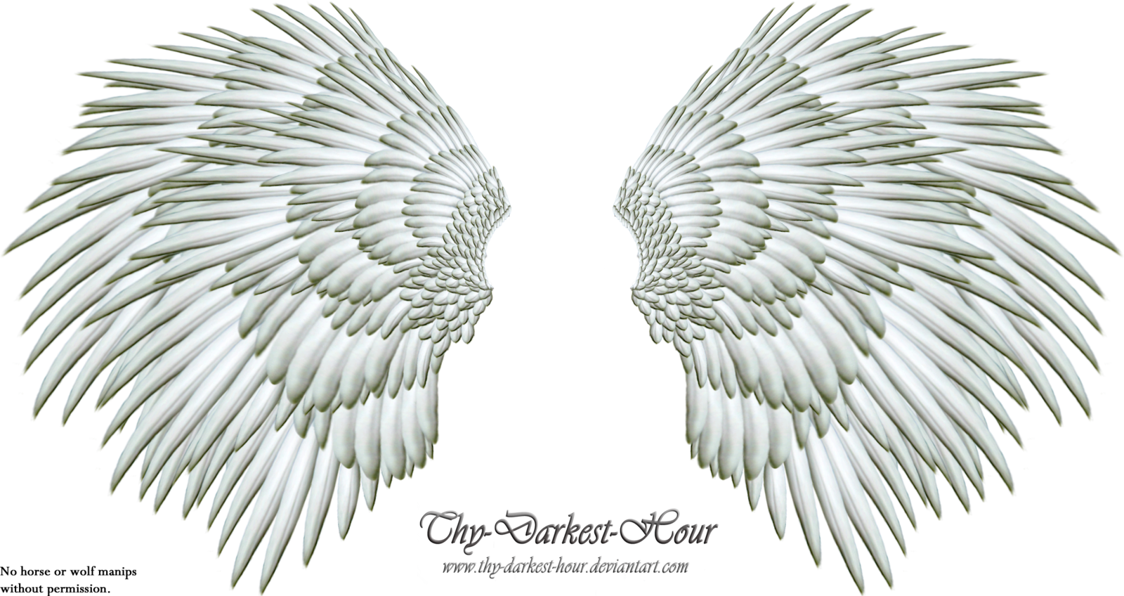 Clipart library: More Like Angel Wings PNG 06 by Thy-Darkest-Hour