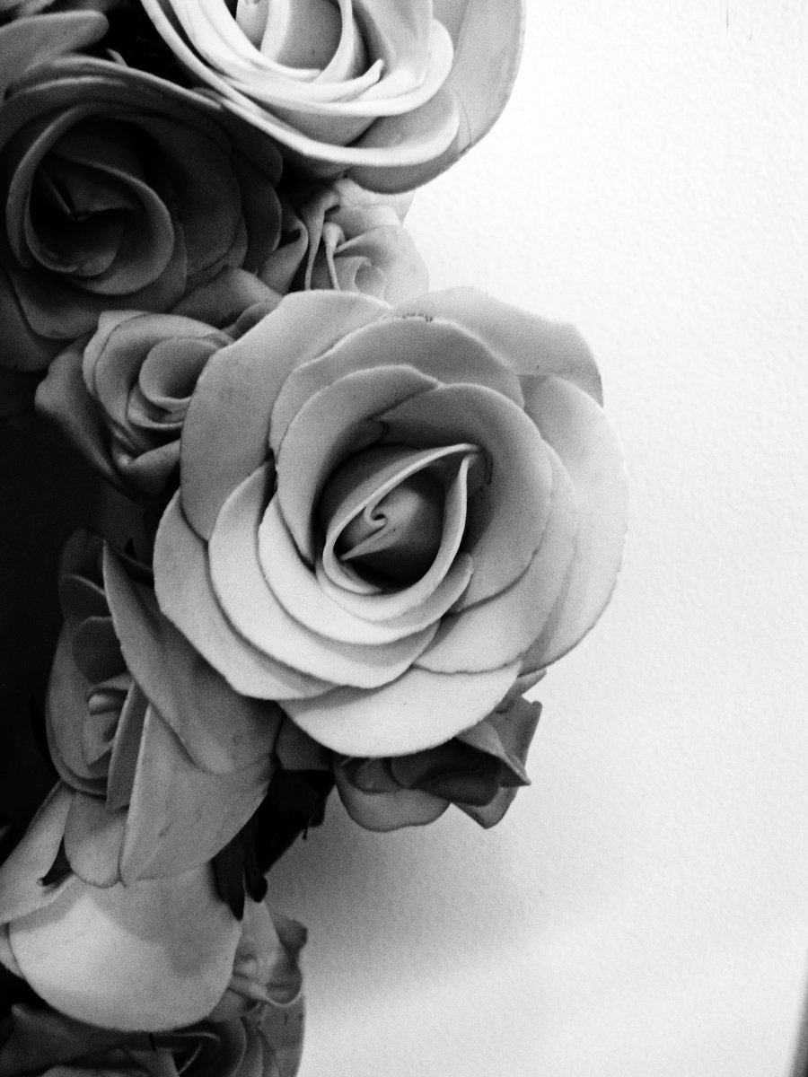 Black and White Silk Roses by Danielle23 on Clipart library