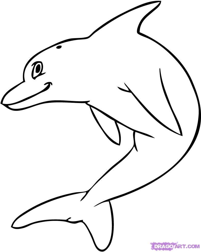 how to draw cartoon dolphins