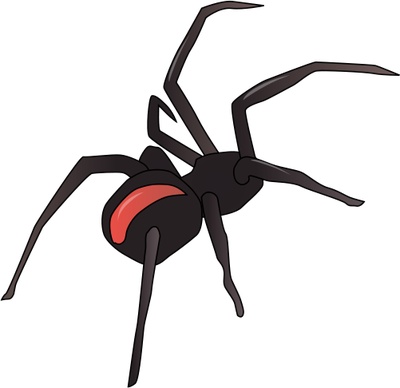 Latrodectus hasselti (Redback Spider) - Insects/Arachnids - Vector 