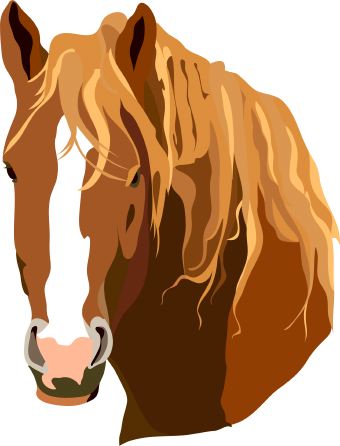 Free Horse Head Cartoon, Download Free Horse Head Cartoon png images