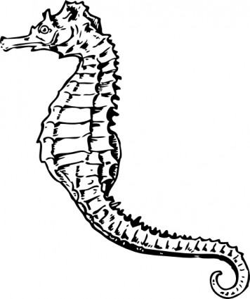 Free sea horse clip art Free vector for free download (about 5 files).