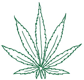 Cannabis Leaf Temporary Tattoo  EasyTatt
