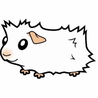 Free coloring pages of cartoon guinea pig