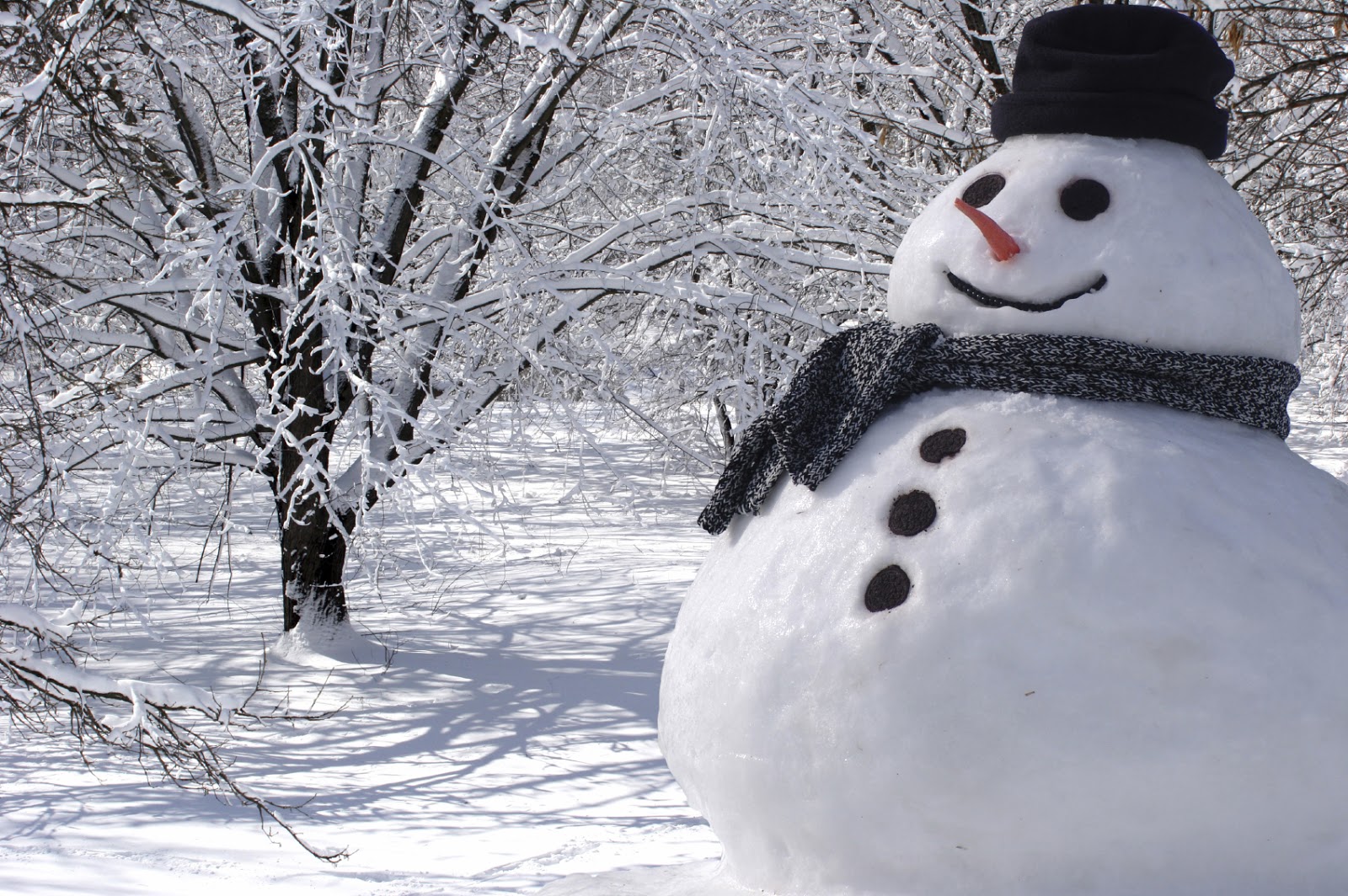 The Science Behind Building the Perfect Snowman | STEMJOBS