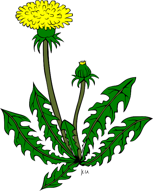 Plants Weeds Cartoon - Clipart library