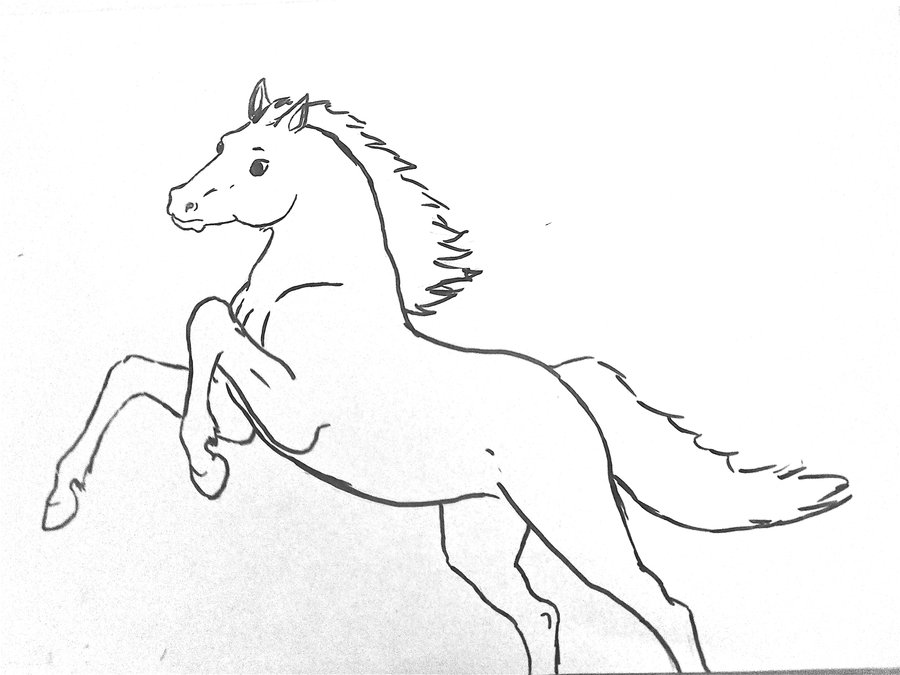 9+ Horse Sketches