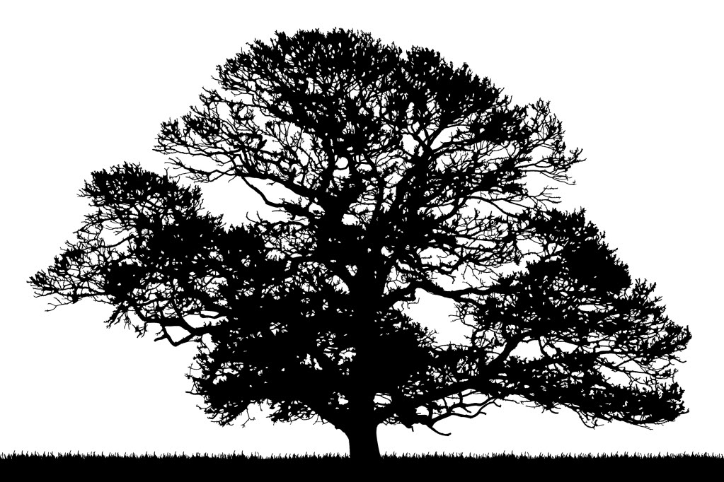 oak tree line silhouette