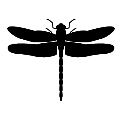 Vector Dragonfly, Vector Art, Dragonfly Stock Vector : Vectoriel.com