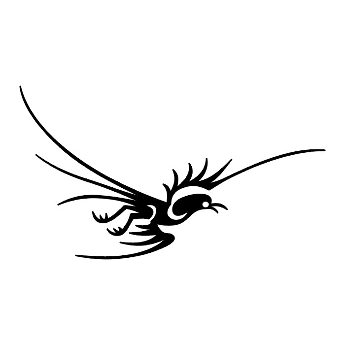 Tribal Bird Logo - Bold Avian Illustration for Branding & Design