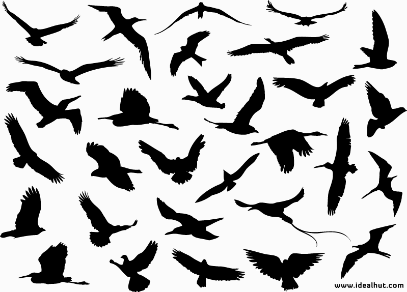 Flying Birds Vector Silhouettes - Free Vector Download | Qvectors.net