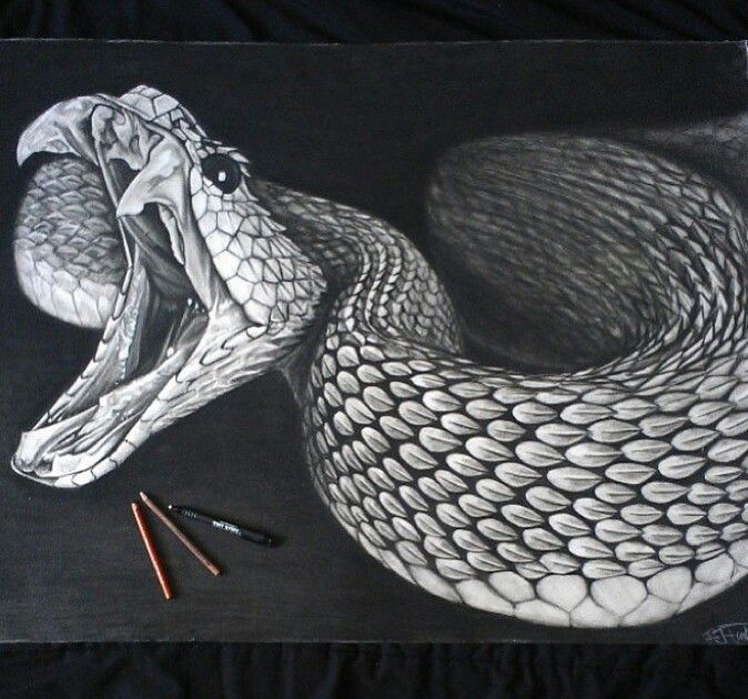 Sketching: Learn How to Sketch a Reptile - Snake (Common Garter)