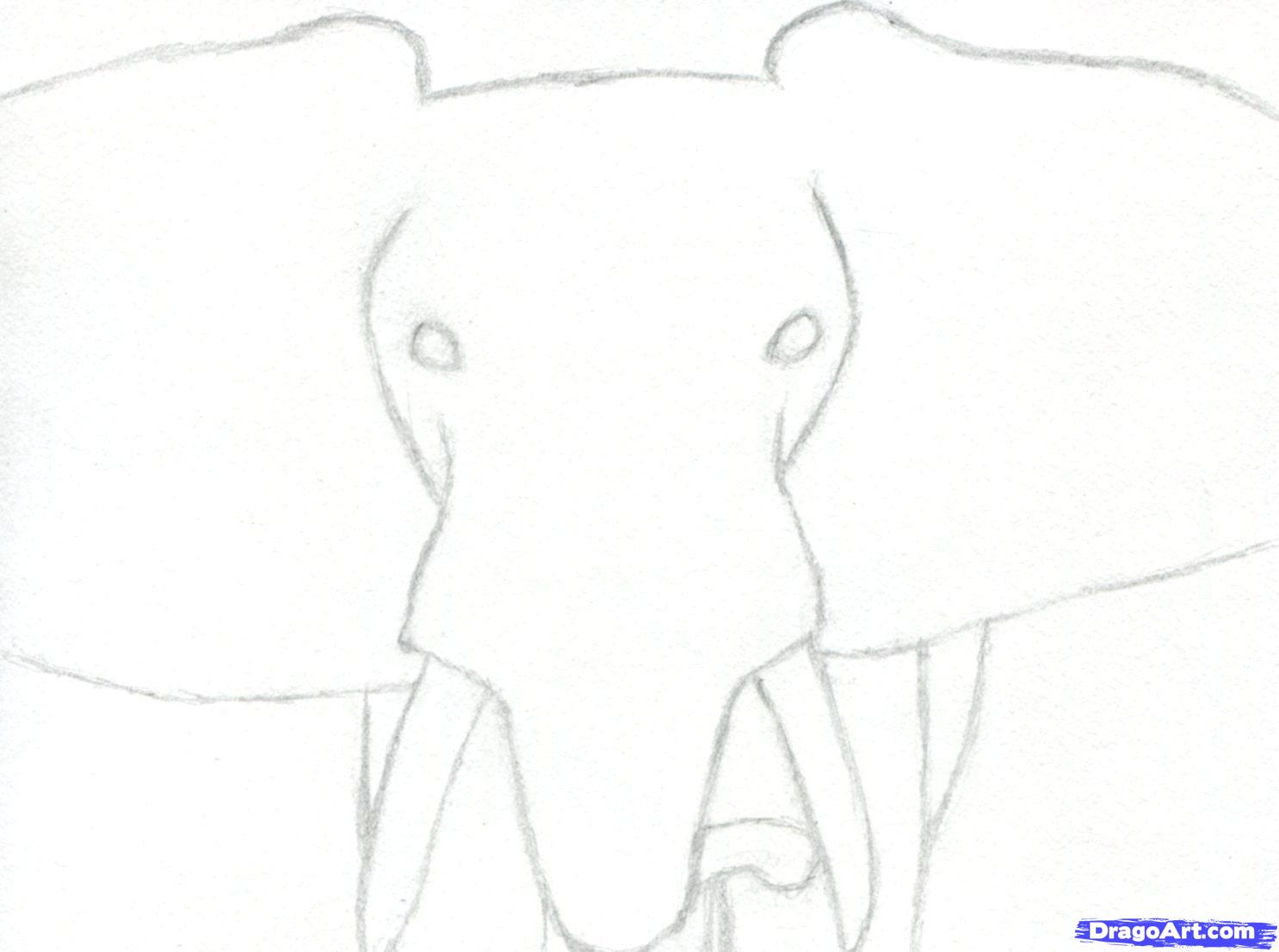 Elephant Side View Head Drawing