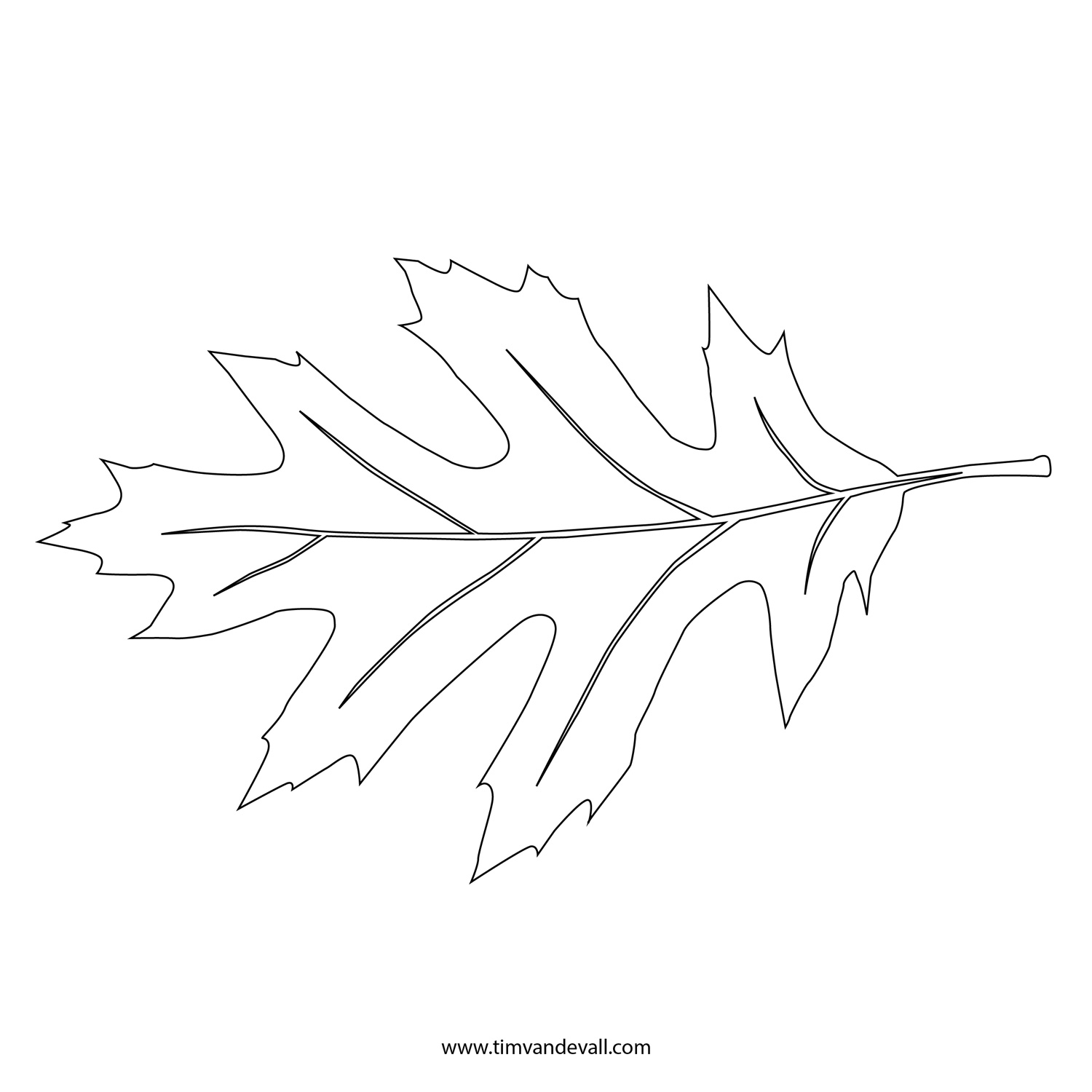 Black And White Leaf Outline Clip Art Library
