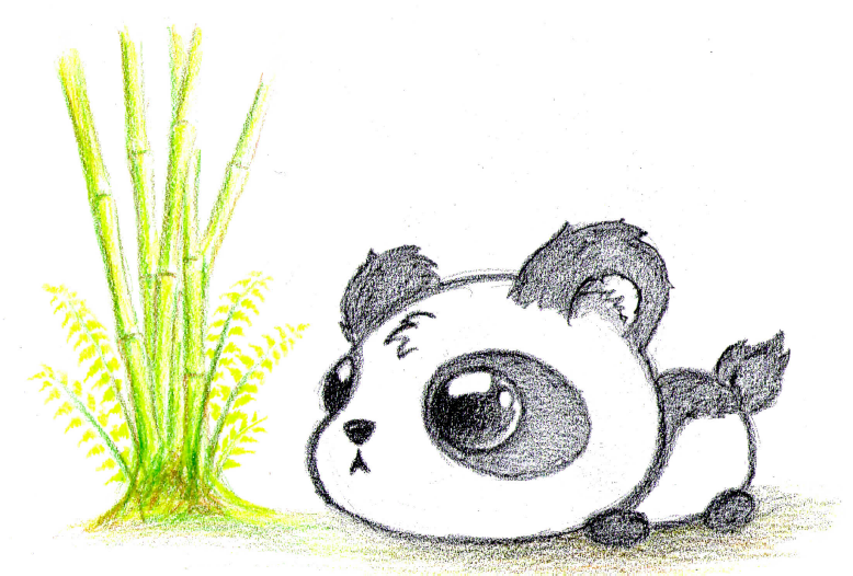 HOW TO DRAW A CUTE PANDA EASY STEP BY STEP  EASY DRAWINGS  YouTube