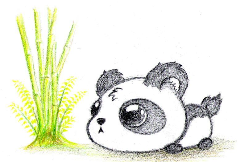 cute baby panda sketch