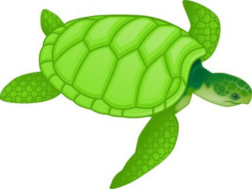Green Sea Turtle Clip Art | Free Vector Download - Graphics 