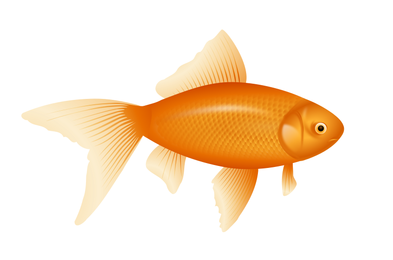 Free to Use  Public Domain Fish Clip Art - Page 4