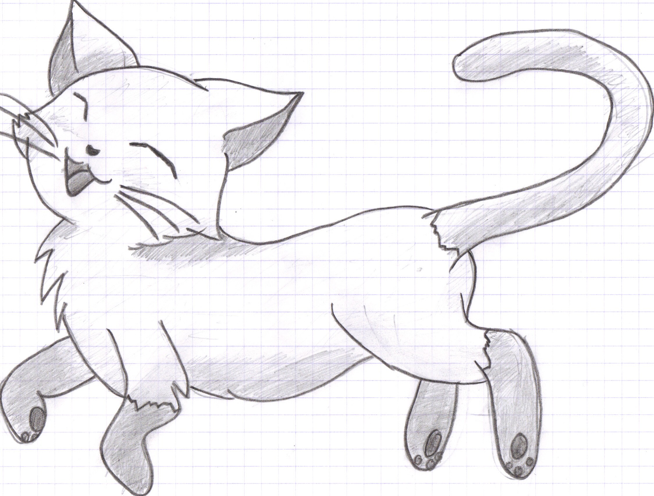 Free Cat Drawing, Download Free Cat Drawing png images, Free ClipArts ...
 Cats Drawing Tumblr