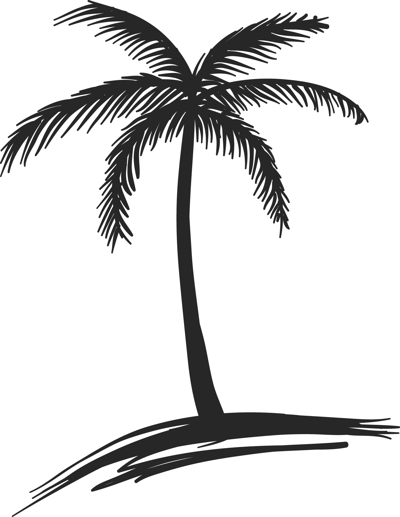 Learn how to draw a Coconut Palm Tree