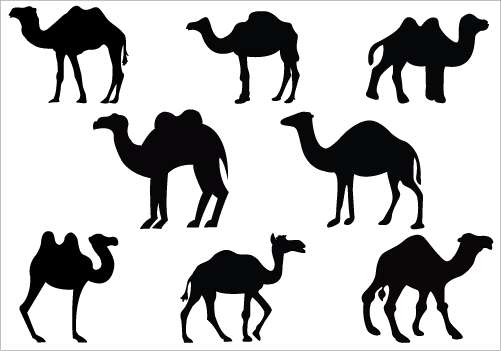 Camel silhouette clip art PackSilhouette Clip Art