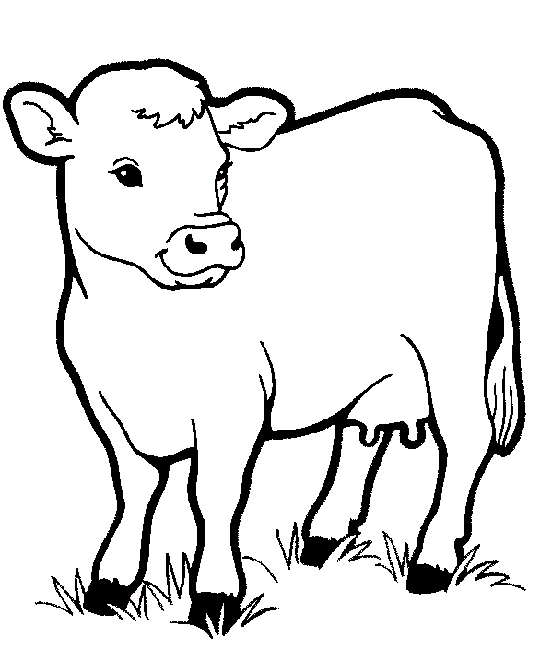 Black-and-white line drawing of a young calf standing in grass, facing left with gentle expression.
