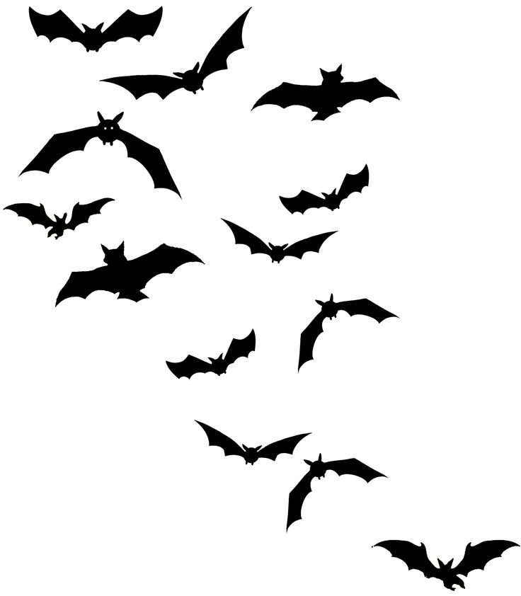 bats flying at night clipart