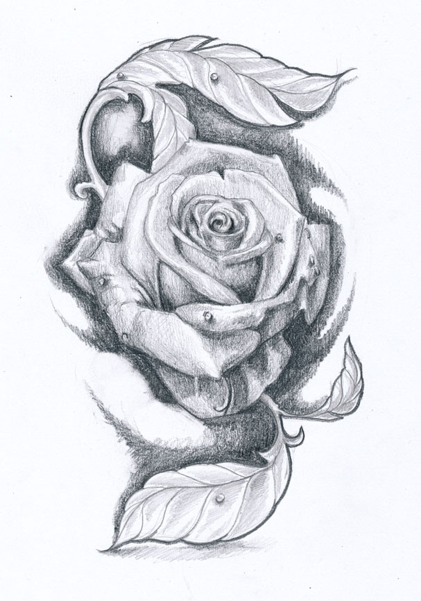 Clipart library: More Like Rose tattoo design II by KlosMagda