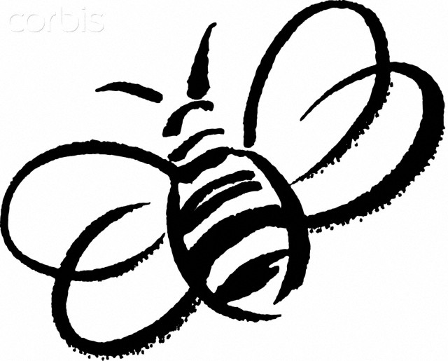 A black and white drawing of a bumblebee - 42-26216576 - Royalty 