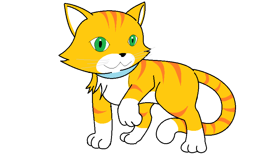 Realistic Cat Coloring Page | Easy Drawing Guides