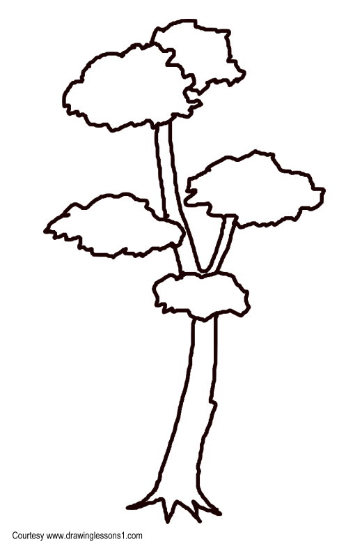 How to Draw Trees | Envato Tuts+