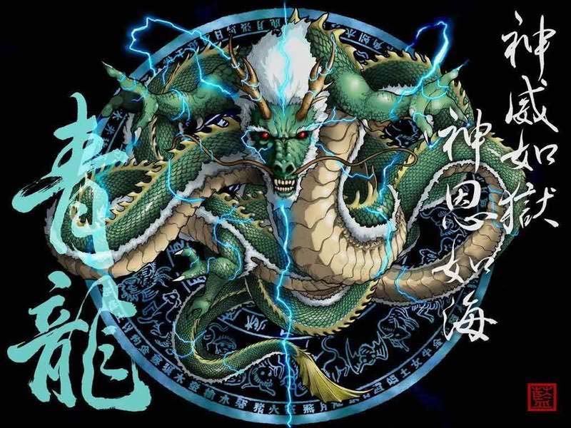Chinese dragon - Dragons Photo (21750441) - Fanpop