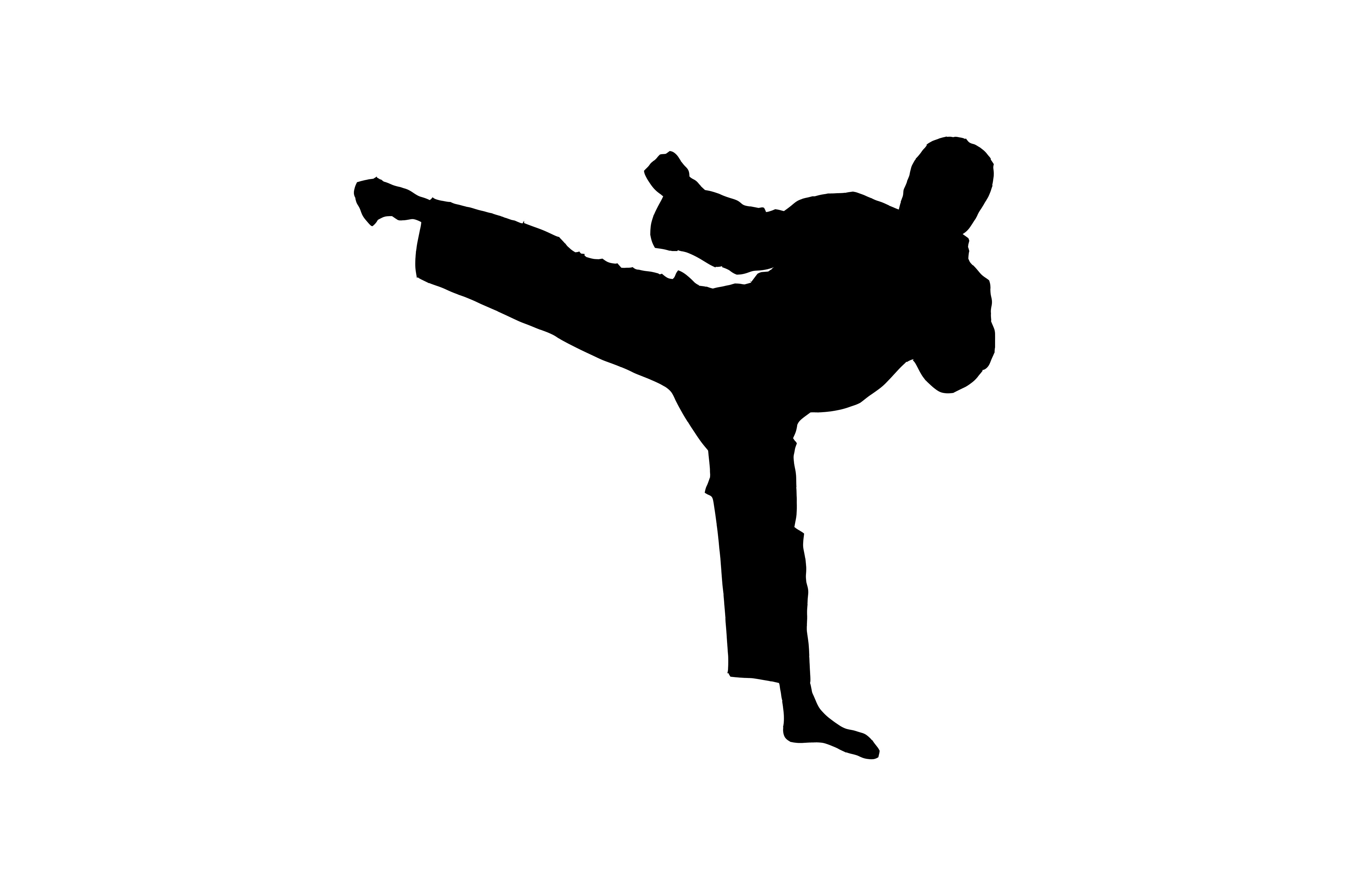 Martial Arts Classes: Free Introductory Class |TNValleySavers.com
