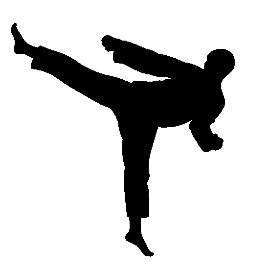 High Side Kick Technique - Martial Arts Training Guide