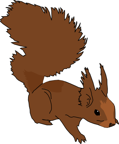 Cartoon Squirrels - Clipart library