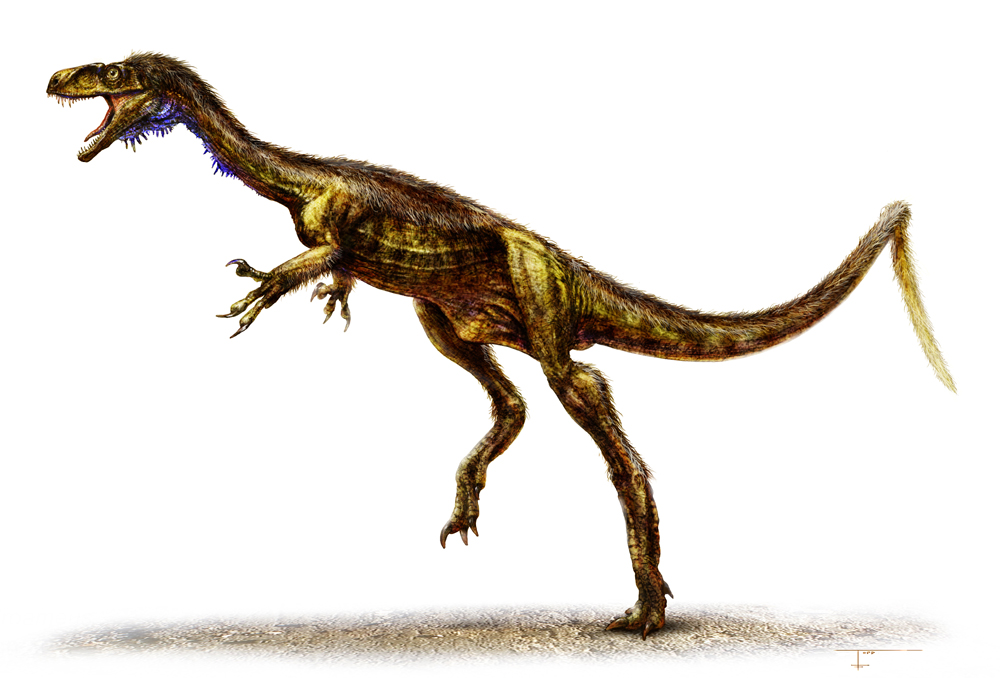 A detailed scientific illustration of a feathered theropod dinosaur, likely a compsognathid, in dynamic running pose with open jaws and iridescent neck feathers.