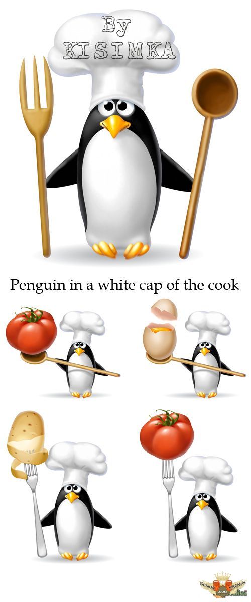 Funny cartoon images with penguin cook