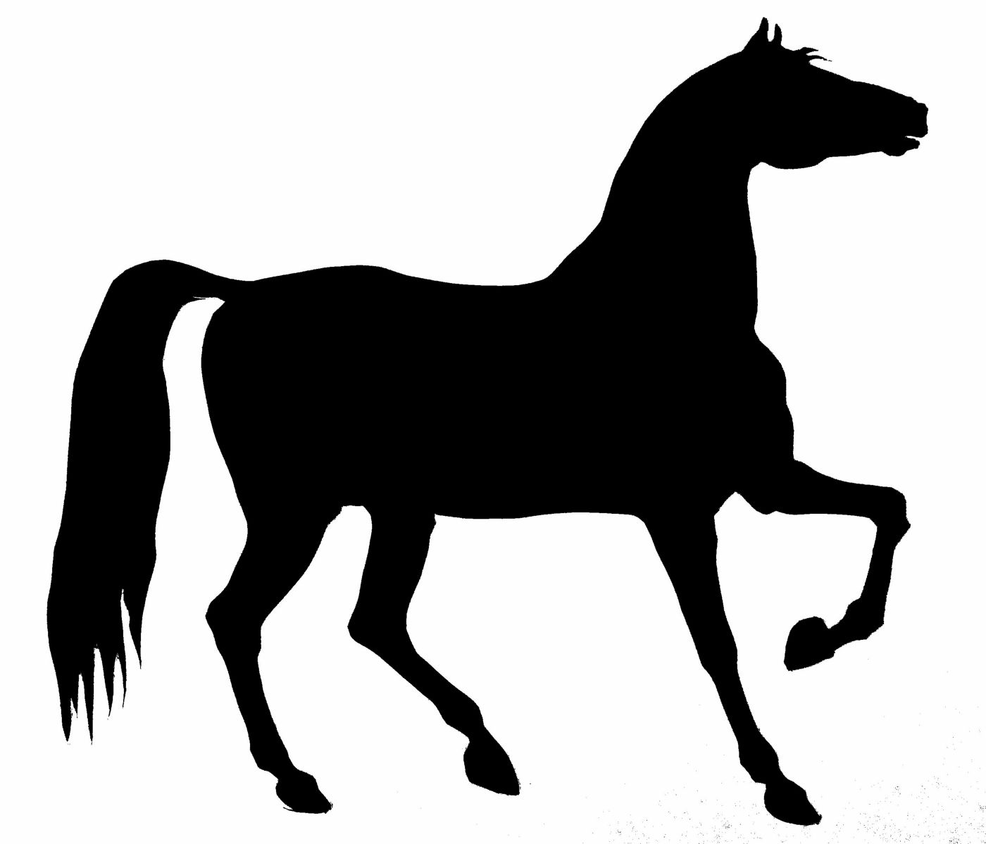 saraccino: Horse silhouette / stencil