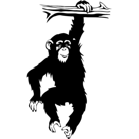 Vinyl decal chimpanzee monkey hanging on tree by thoughtsthatstick