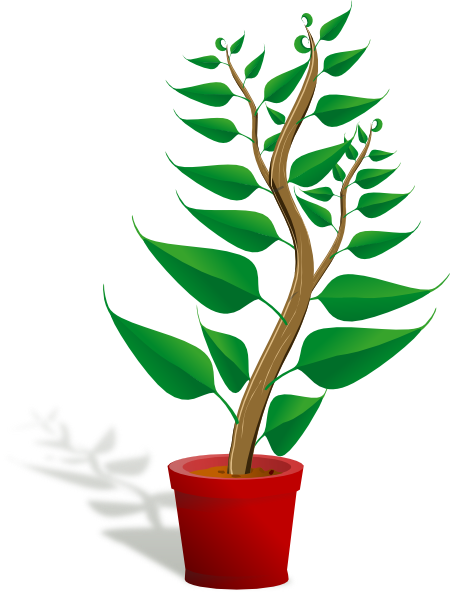 Weed Plant Cartoon 